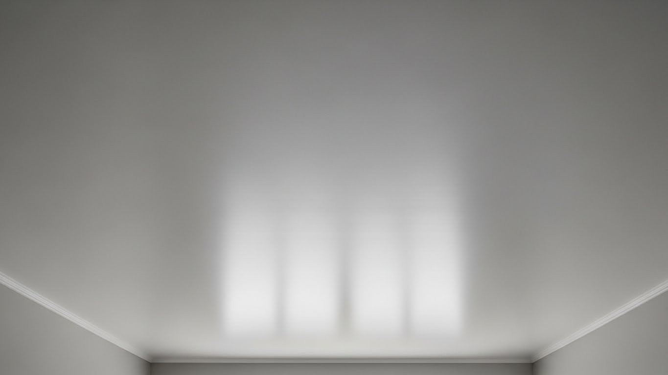 Одноуровнев
ые матовые натяжные потолки Одноуровневые матовые натяжные потолки